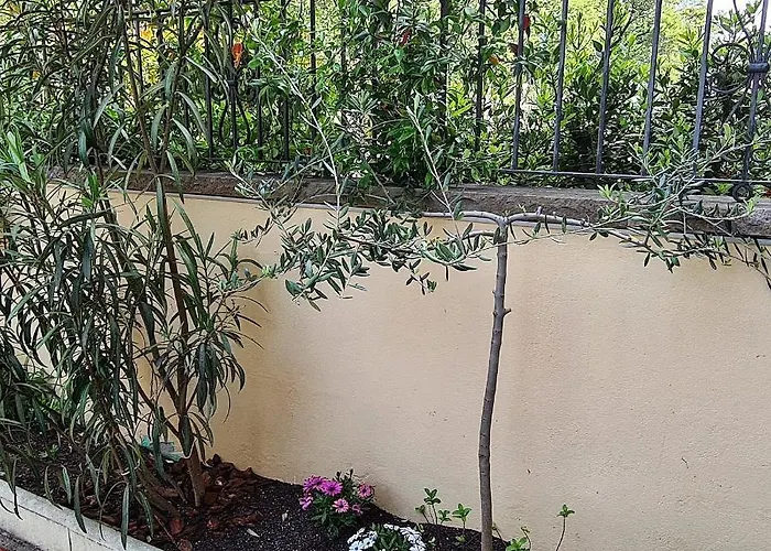Casa Mon بيت للعطل *